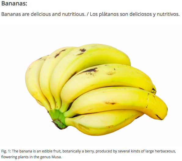 Result HTML Editor Single Image